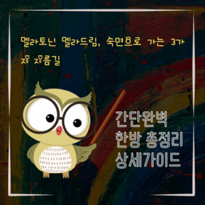 V2MID0234 멜라토닌 멜라드림 숙면으로 가는 3가지 지름길