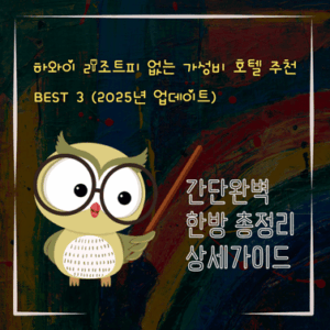 V2MID0311 하와이 리조트피 없는 가성비 호텔 추천 BEST 3 2025년 업데이트
