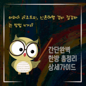 V2MID0314 하와이 리조트피 신혼여행 경비 절감하는 방법 4가지
