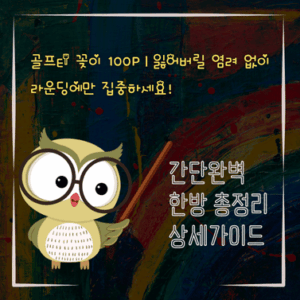 V2MID3693 골프티 꽂이 100P｜잃어버릴 염려 없이 라운딩에만 집중하세요
